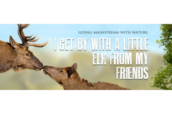 Two elk nuzzling with the text: 'I get by with a little elk from my friends.' Promotional nature-themed message with the phrase 'Going mainstream with nature.'